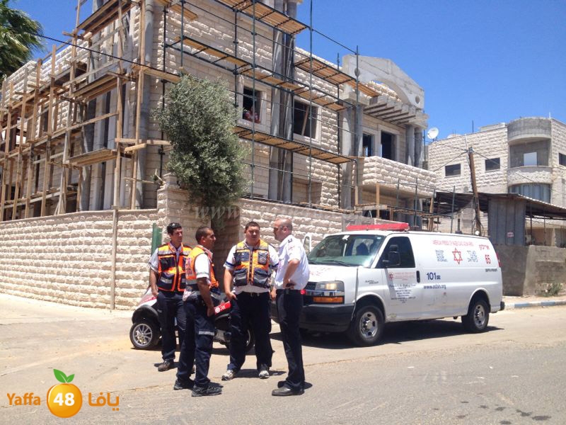 fight 2 famlilesi (3).JPG